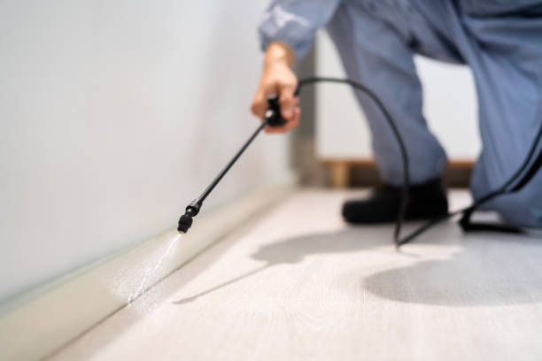 Licensed Mosquito Control service in Shenandoah Heights, PA - Show Me Pest Control