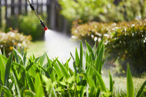 24/7 Emergency Mosquito Control experts in Shenandoah Heights, PA