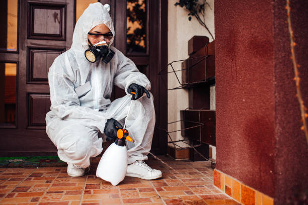 Reliable Mosquito Control contractor in Shenandoah Heights, PA by Show Me Pest Control