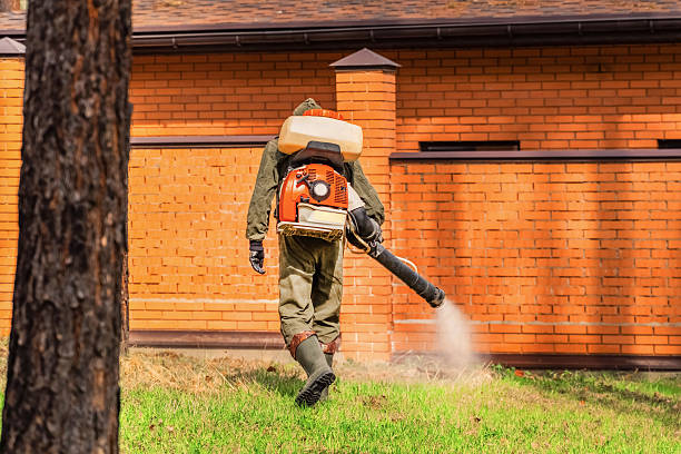 Top rated local Mosquito Control specialists in Shenandoah Heights, PA